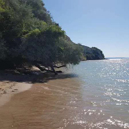 Апартаменты Vallarta Каварна