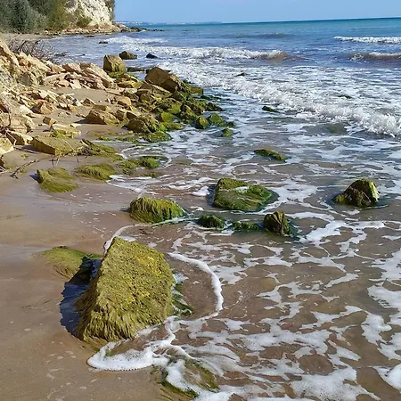 Vallarta Апартаменты *