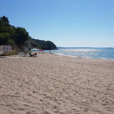 Vallarta Каварна