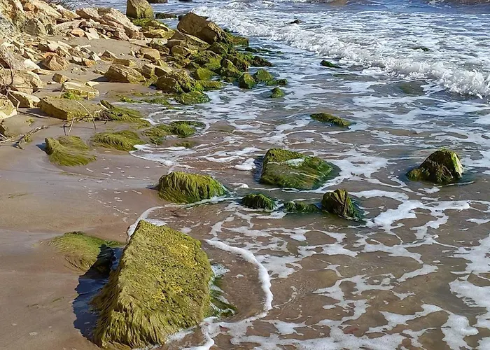 Vallarta Апартамент *