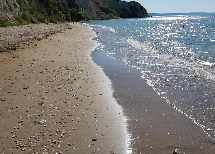 Vallarta Каварна