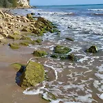 Vallarta Апартамент *