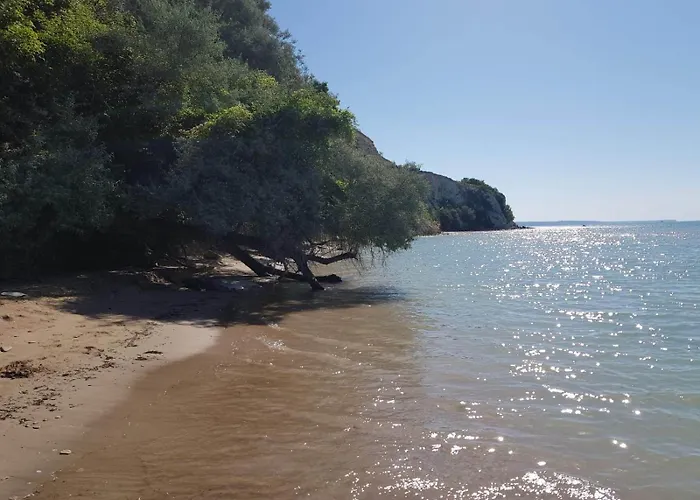 Daire Vallarta Kavarna